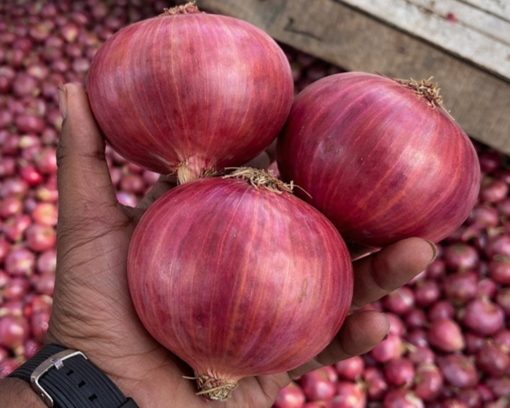 Onion