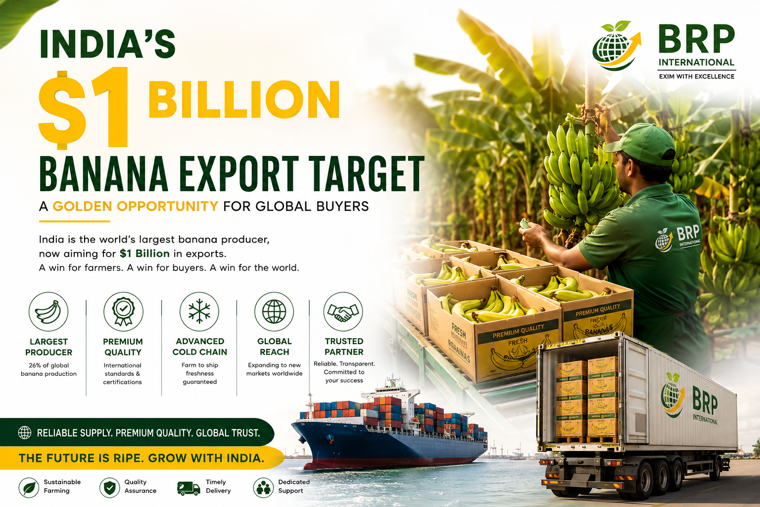 India's $1 Billion Banana Export Target: A Golden Opportunity for Global Buyers